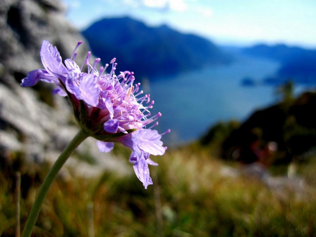 Menaggio Fronte Lago Esterno foto